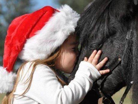 christmas_horses